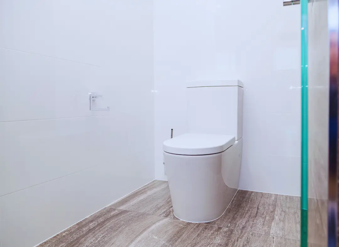 Remplacement de wc Pompignac